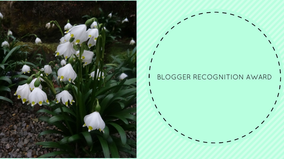 Blogger Recognition Award