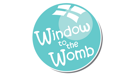 Having a Gender Scan at Window to the Womb Surrey